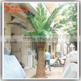 Hot Sale Artificial Outdoor Date Palm Trees Fiberglass 6 Meter for Palm Tree Wedding Decorations Tree thumbnail-5