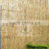 Reed Fences thumbnail-1