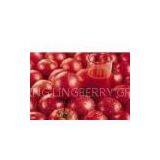 Lycopene, Tomato Color thumbnail-1