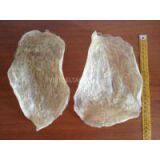 DRIED FISH MAW (Ms.Angela - WhatsApp: +84 165 582 7745)