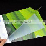 Cheap Printing A4 Custom Plastic File Folder for Stationary Office