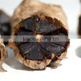 Natural Black Garlic Price thumbnail-2