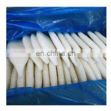Hot Sale Squid Tube From China