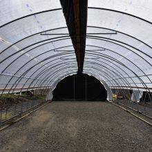 Anti Acid Rain Plastic Cover Woven Greenhouse Film,transparent 200 Micron Waterproof Tarpaulin,UV Block Agriculture Plastic Film thumbnail-5