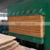 Linyi Zhengda Wood Co., Ltd. company overview - view 2 thumbnail