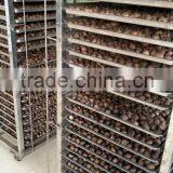 High Temperature Humidity Black Garlic Climatic Chamber Price thumbnail-4
