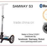 Samway Robot Electric Mini Chariot Adult 2 Wheel Self Balancing Electric Chariot Scooter