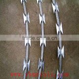Razor Wire Security Fencing with Razor-sharp Steel Blade