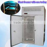 60kg IQF Blast Freezer With One Trolley
