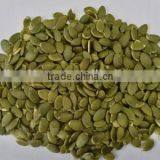 Cheap Best New Crop Shine Skin Pumpkin Seed Kernel thumbnail-2
