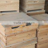 Apis Cerana Beehive thumbnail-2