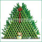 Big Triangle Pyramid Lucky Bamboo Air Bonsai Tree Dracaena Sanderiana Indoor Water Aquatic Plants Nursery Garden Decoration thumbnail-1