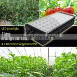 DSunY high quality programmable led grow light dimmable with 4 channels intelligent controller