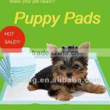 Disposable Small Animal Pet Training Pad thumbnail-1