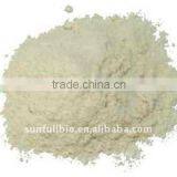 Garlic Plant Extract thumbnail-1