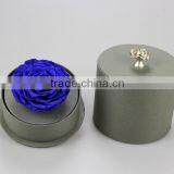 2016 Yiwu Aimee Wholesale Valentine's Day Gift Preserved Fresh Cut Flower(AM-PF04) thumbnail-5