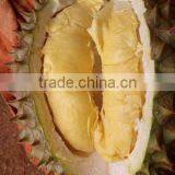 VIET NAM DURIAN- Monthong Durian thumbnail-2