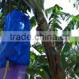 Bolsa de Proteccion Para el Banano thumbnail-5