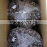 Champignon Noir thumbnail-3