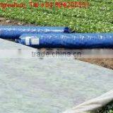 PP Spunbond Non-woven Fabric Roll for Agriculture 55gsm