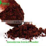 Ganoderma Coffee Ingredient ganoderma lucidum powder
