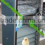 WQ-480 quail egg incubator