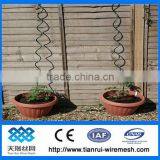 Tomato Spiral Wire thumbnail-1