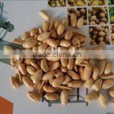 Roasted and Salted Peanut Production Line With CE Certification thumbnail-2