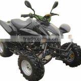 Best New Style Attractive Price ATV 200cc/250cc Quad Bike thumbnail-1