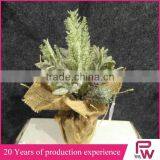 Factory High Quality Wholesale Small Decorative Pine Trees From China Supplier