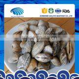 China Seafood Nature Fresh Clam Variety Baby Clam thumbnail-1