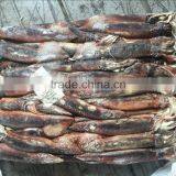 Frozen Illex Squid Whole Round thumbnail-1