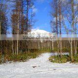 Land for Resort , Real Estate for Investors , Japan , Hokkaido thumbnail-1