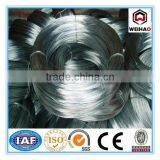 Hessan Cloth Small Coil 0.8 mm Electro Galvanized Wire thumbnail-3