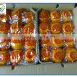 Citrus Fruits Orange Export Company thumbnail-1