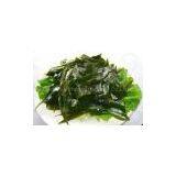 Kelp P.E. thumbnail-2