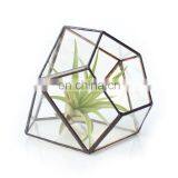 Terrarium Geometric Glass Terrarium Wholesale thumbnail-4