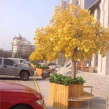 large natural yellow leavs artificial ginkgo tree