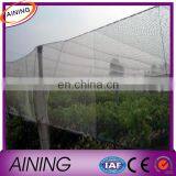 Vegetable Garden Pest Control Fence,Anti Bird/mole Netting/plastic Safety Control Net thumbnail-3
