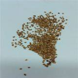 Walnet Shell /walnut Sand Polishing thumbnail-4