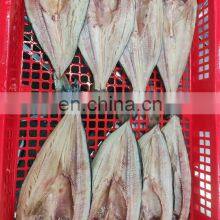 Good Quality IQF Gutted Whole Frozen Atka Mackerel Fish thumbnail-5