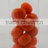 Colorful Lid Food Jars,recycled Glass Food Jars