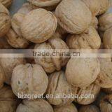 Factory Price Chinese Bulk Walnut in Shell Size of 28mm