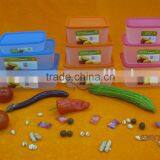 Plastic Storage Box