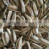Best Cheap Sunflower Seed 601 thumbnail-4