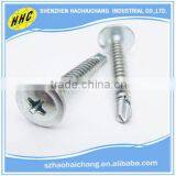 China Screw Manufacturer Non-standards Stainless Steel Drywall Screw thumbnail-1