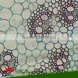 Microscope Plant Slides ,Corn Prepared Slides, ON SALE Prepared Slides thumbnail-1