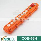 Hoist Switch,11 Buttons Electrical Crane Switch , English Availble COB-65H