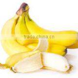 Price of Fresh Cavendish Banana thumbnail-1