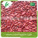 Small Red Kidney Beans Nutrition Facts thumbnail-5
